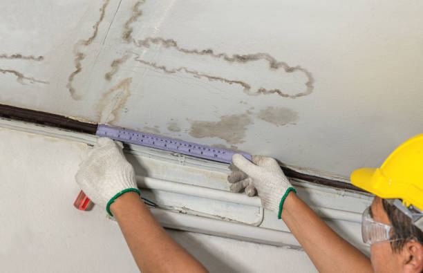 Reliable Mold Remediation contractor in Middleville, MI by Water Damage Irwin